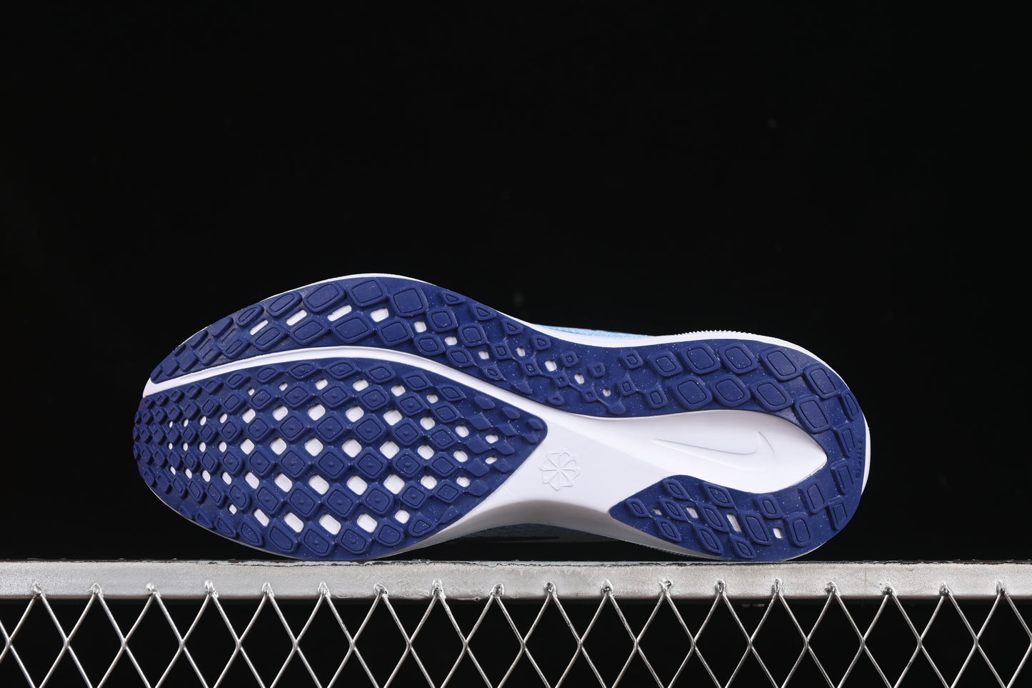Nike Air Zoom Pegasus 41 azul