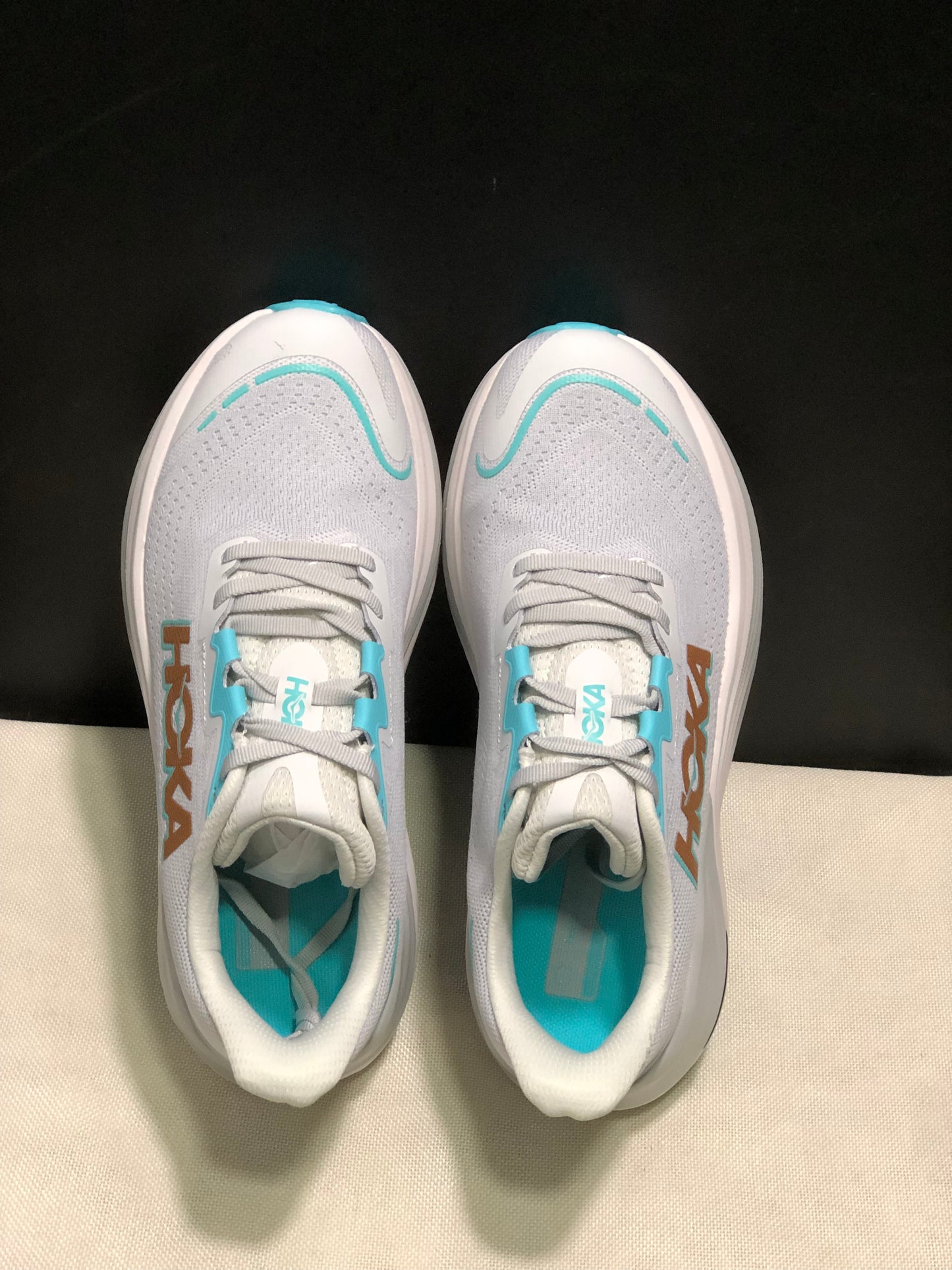 Hoka Skyward X 1